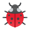insect